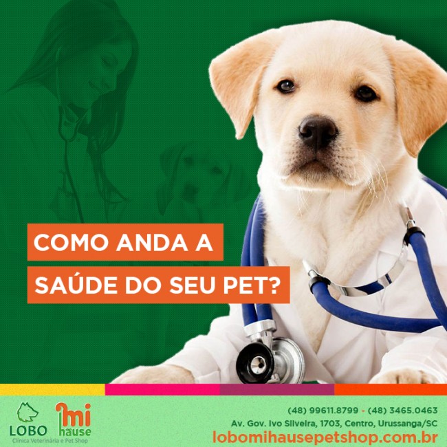 Como anda a saúde do seu pet?