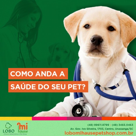 Como anda a saúde do seu pet?