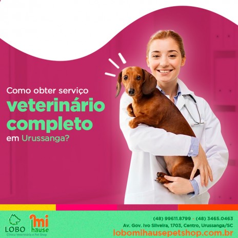 Como obter serviço veterinário completo em Urussanga?