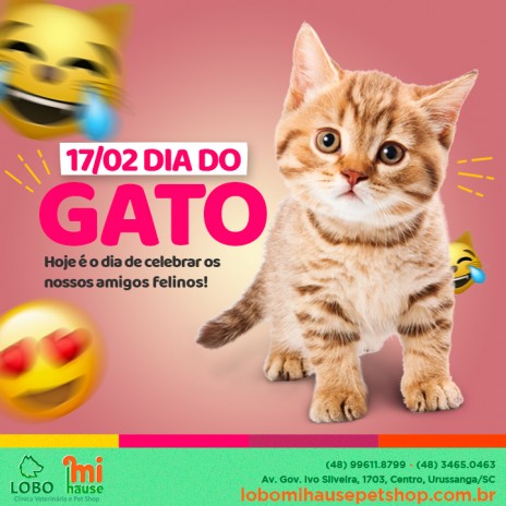 Dia do Gato