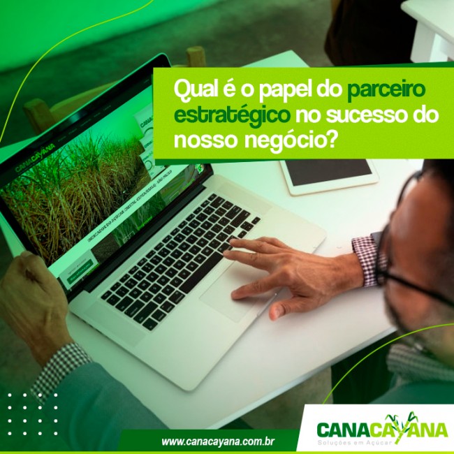 Qual é o papel do parceiro estratégico no sucesso do nosso negócio