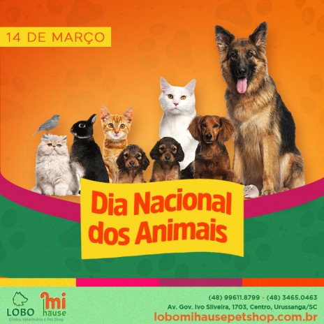 (14/03) Dia Nacional dos Animais