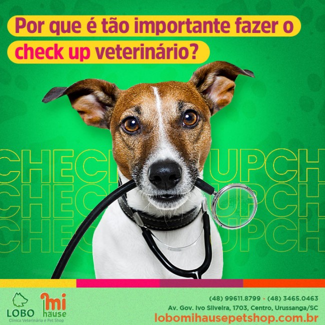 Por que é tão importante fazer o checkup veterinário?