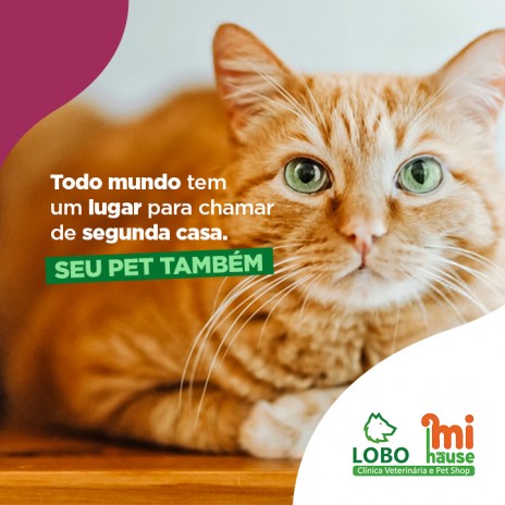 Todo mundo tem um lugar para chamar de segunda casa. Seu pet também