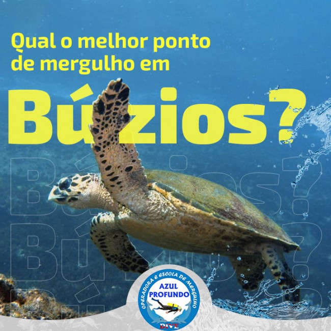 Qual o melhor ponto de mergulho em Búzios?