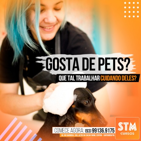 Gosta de pets? Que tal trabalhar cuidando deles?