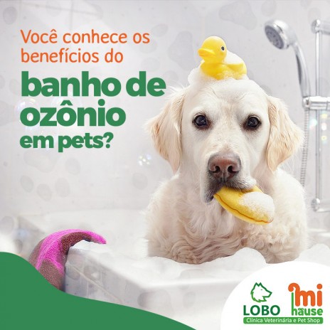 Você conhece os benefícios do banho de ozônio em pets?