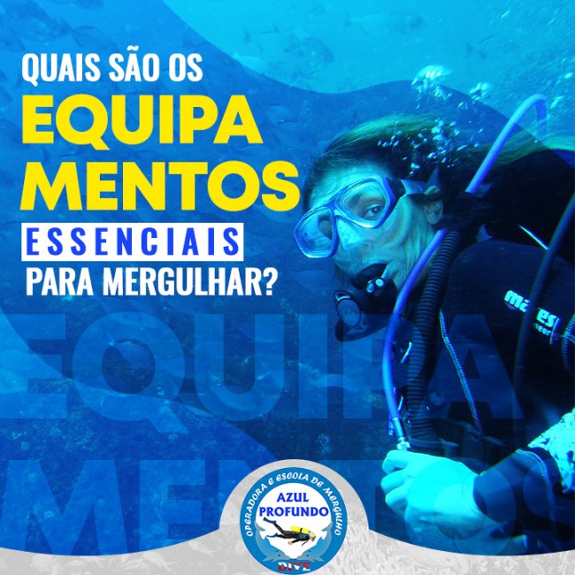 Quais são os equipamentos essenciais para mergulhar?