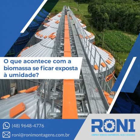 O que acontece com a  biomassa se ficar exposta  à umidade?