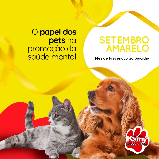 Setembro amarelo: o papel dos pets na promoção da saúde mental