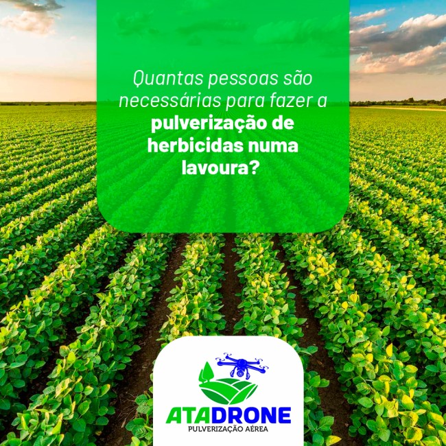 Quantas pessoas são necessárias para fazer a pulverização de herbicidas numa lavoura?