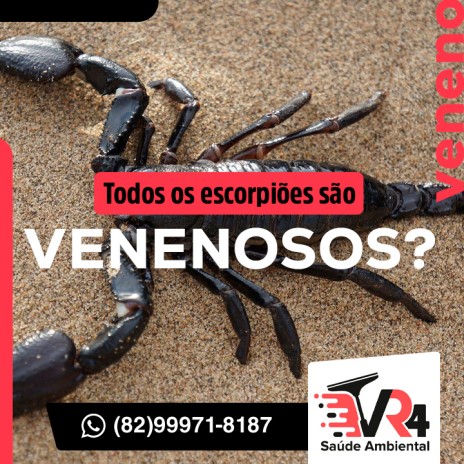 Todos os escorpiões são venenosos?