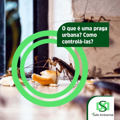 O que é uma praga urbana? Como controlá-las?