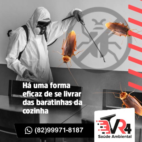 Há uma forma eficaz de se livrar das baratinhas da cozinha