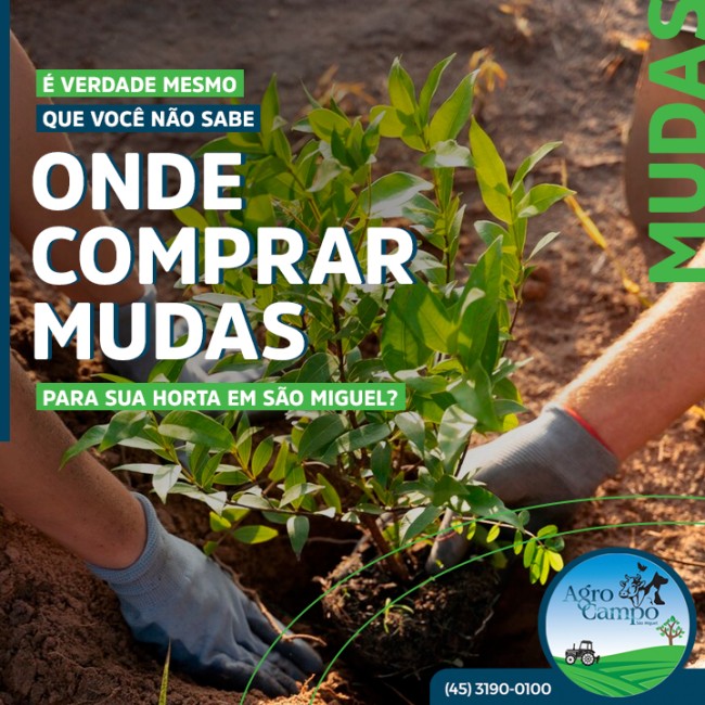 É verdade mesmo que você não sabe onde comprar mudas para sua horta em São Miguel?