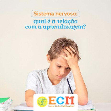 Sistema nervoso: qual é a relação com a aprendizagem?