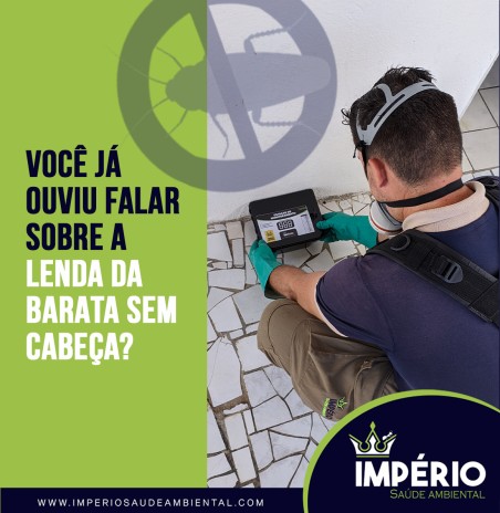 Você já ouviu falar sobre a lenda da barata sem cabeça?