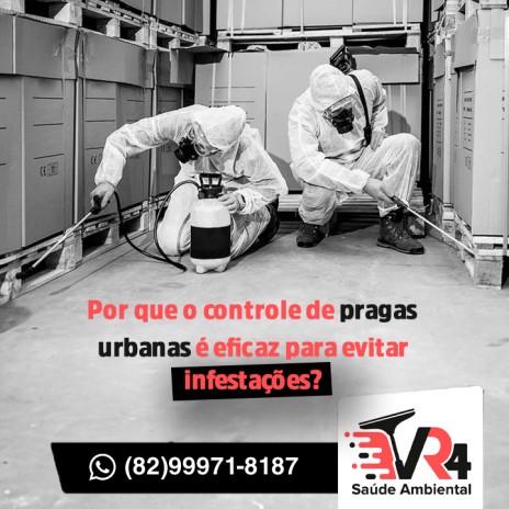 Por que o controle de pragas urbanas é eficaz para evitar infestações?