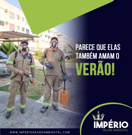 Parece que elas também amam o verão!