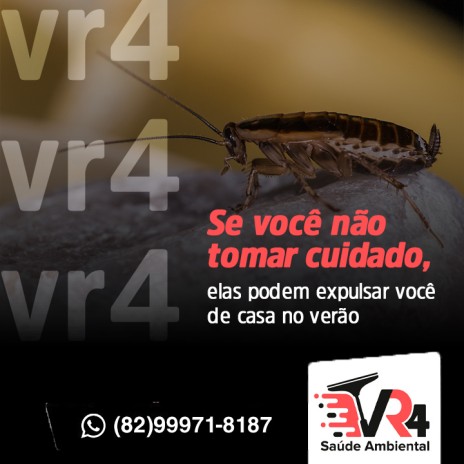 Se você não tomar cuidado, elas podem expulsar você de casa no verão