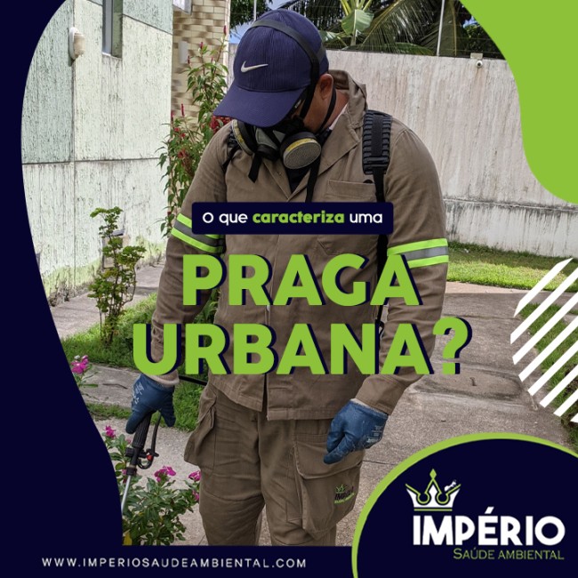 O que caracteriza uma praga urbana?