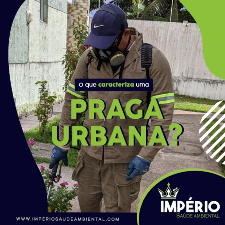 O que caracteriza uma praga urbana?