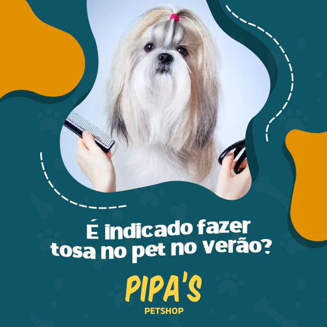 É indicado fazer tosa no pet no verão?