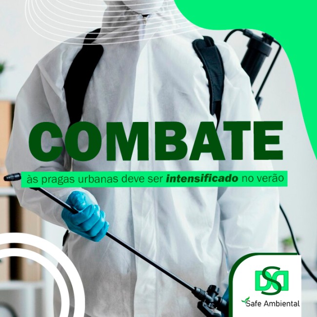 Combate às pragas urbanas deve ser intensificado no verão