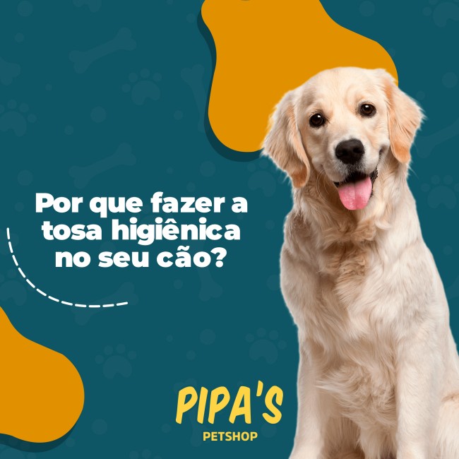 Por que fazer a tosa higiênica no seu cão?