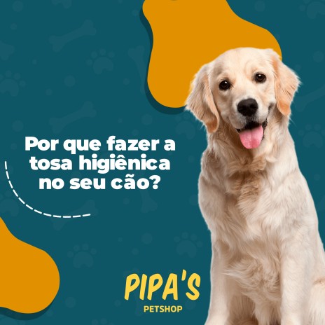 Por que fazer a tosa higiênica no seu cão?