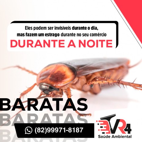 Eles podem ser invisíveis durante o dia, mas fazer um estrago durante no seu comércio durante a noite