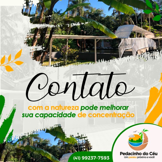 Contato com a natureza pode melhorar sua capacidade de concentração