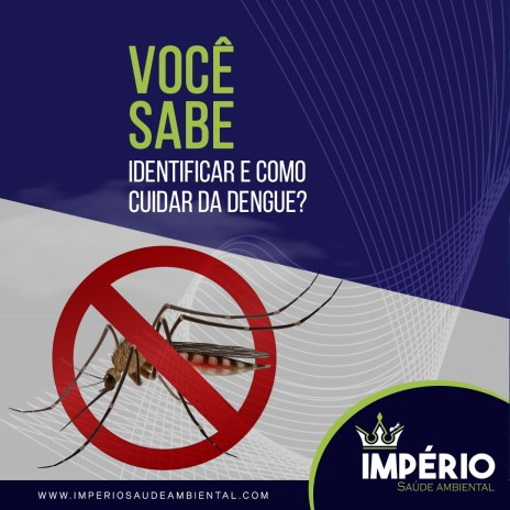 Você sabe identificar e como cuidar da dengue?