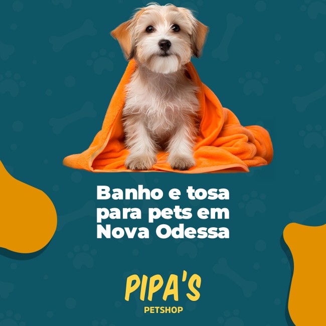 Banho e tosa para pets em Nova Odessa
