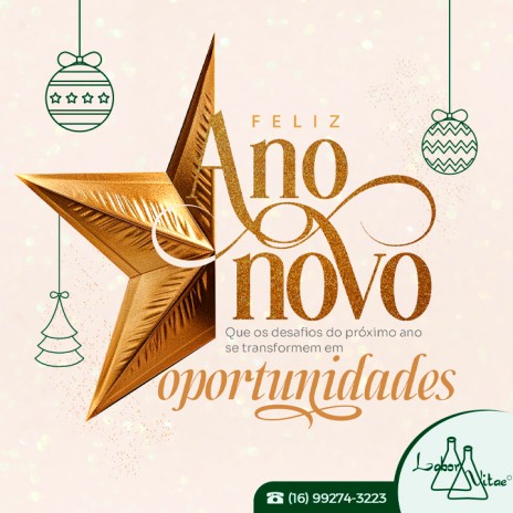 FELIZ ANO NOVO