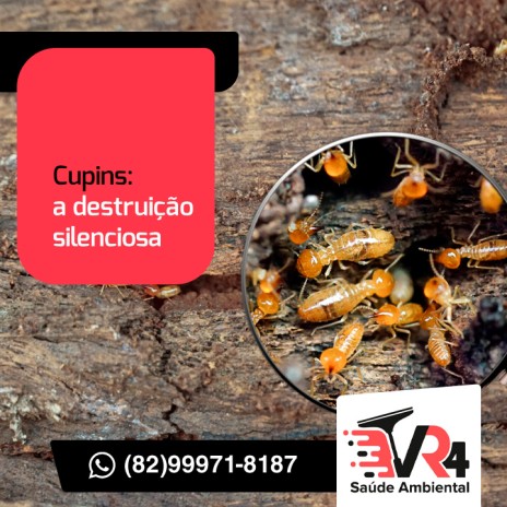 Cupins: a destruição silenciosa