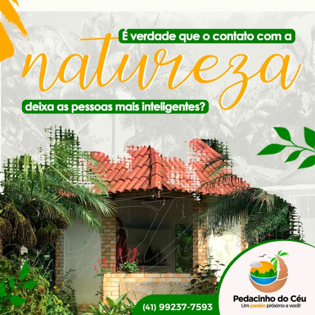 É verdade que o contato com a natureza deixa as pessoas mais inteligentes?