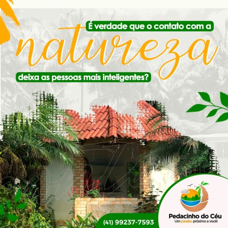 É verdade que o contato com a natureza deixa as pessoas mais inteligentes?