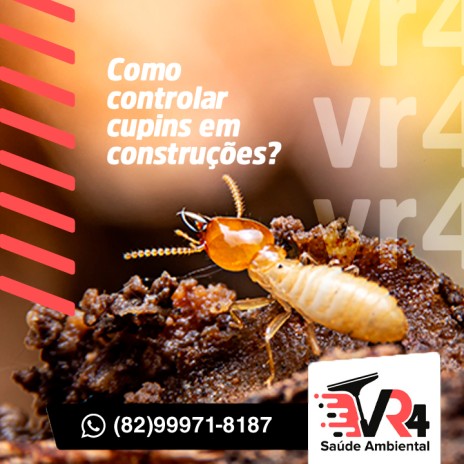 Como controlar cupins em construções?