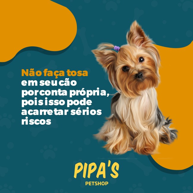Não faça tosa em seu cão por conta própria, pois isso pode acarrear sérios riscos