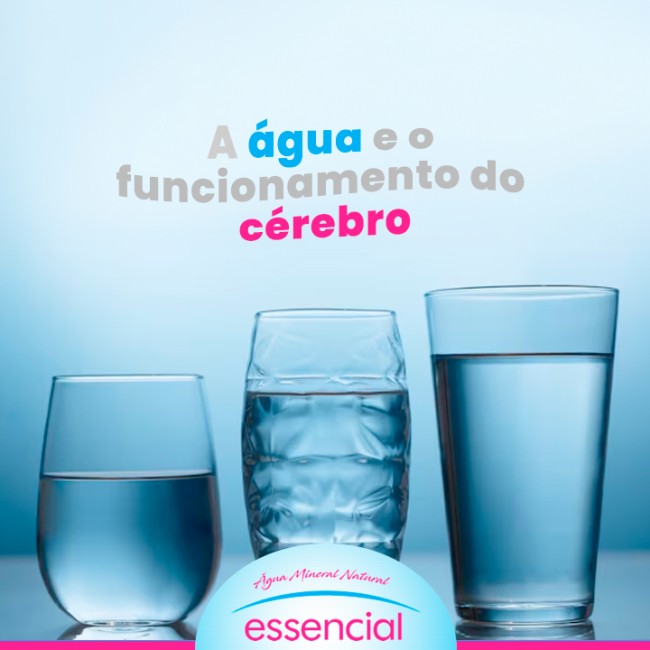 A água e o funcionamento do cérebro