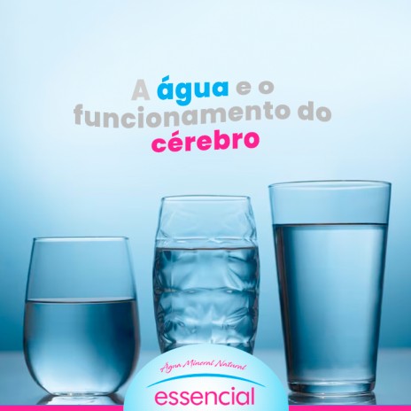 A água e o funcionamento do cérebro