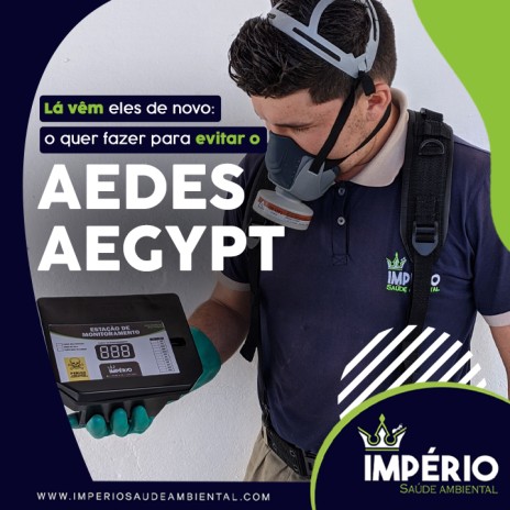 Lá vêm eles de novo: o quer fazer para evitar o Aedes Aegypt