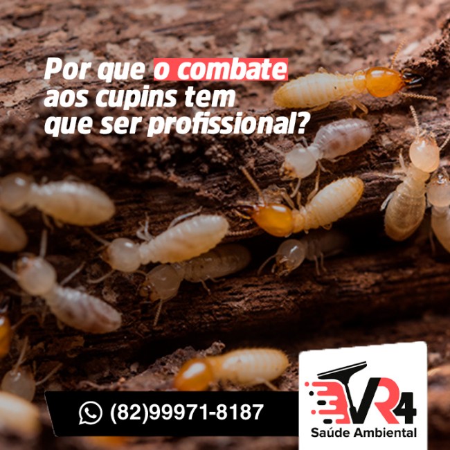 Por que o combate aos cupins tem que ser profissional?