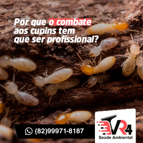 Por que o combate aos cupins tem que ser profissional?