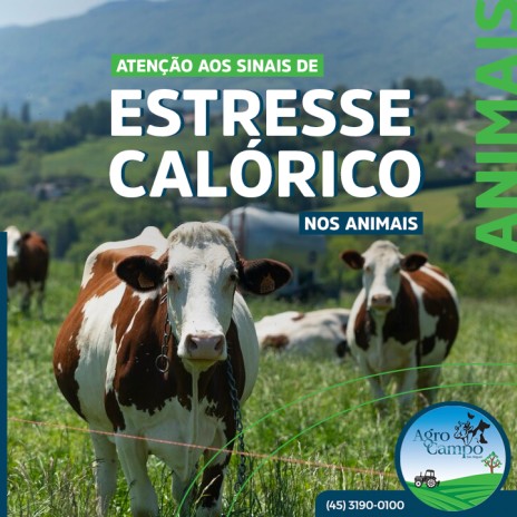 Atenção aos sinais de estresse calórico nos animais