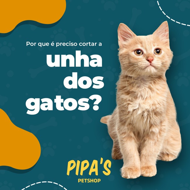 Por que é preciso cortar a unha dos gatos?