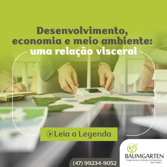 Desenvolvimento, economia e meio ambiente: uma relação visceral