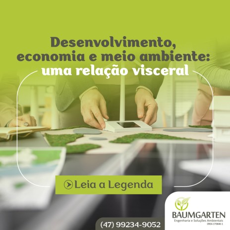 Desenvolvimento, economia e meio ambiente: uma relação visceral