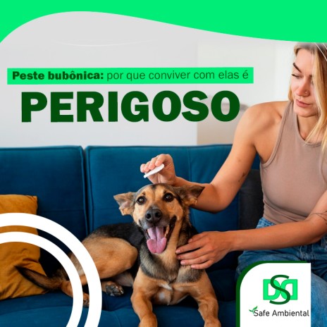 Peste bubônica: por que conviver com elas é perigoso